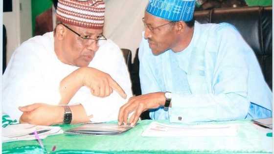 Tinubu ya warewa Buhari, Osinbajo da Jonathan naira biliyan 13 a kasafin 2024