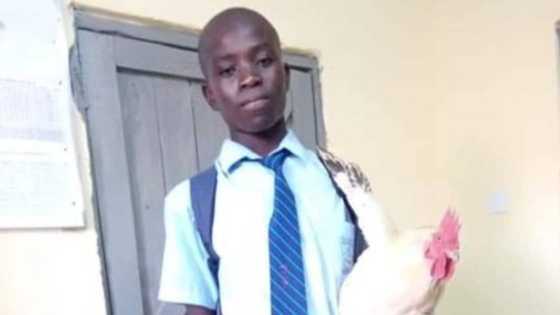 Young student who had taken fowl to school to pay up his debt of N128k gets scholarship