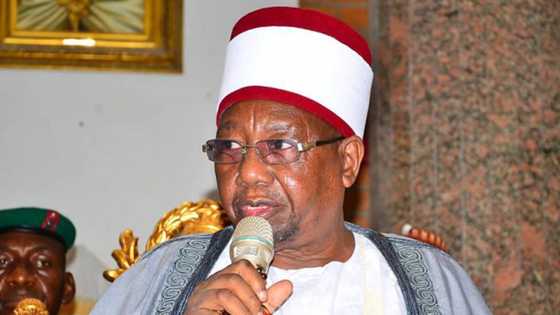 Buge jami'an NSCDC da mota: Shehun Borno ya nemi afuwan jami'in tsaron da dansa ya doke