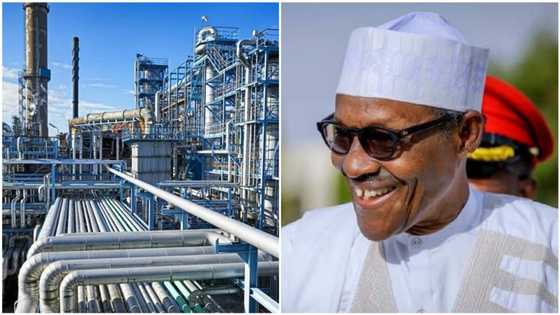 Niger Delta group hails Buhari, Sylva for approval to fix Port Harcourt refinery