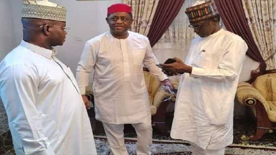 Fani-Kayode moves to dump PDP for APC