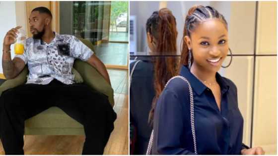 BBNaija: Don't come in when I have issues with people, Bella tells Sheggz after confrontation with Eloswag
