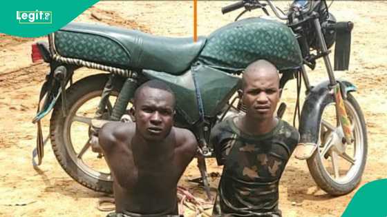 Sojoji sun bindige 'yan bindiga tare da kama wasu a Kaduna