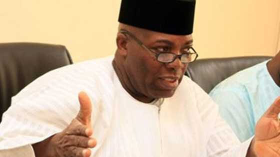 Nnamdi Kanu ya fi zaben Anambra muhimmanci, ku sake shi don a samu zaman lafiya, Doyin Okupe