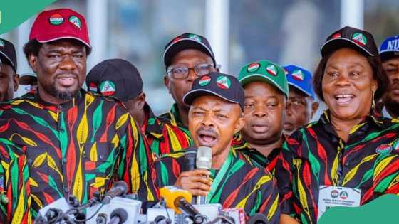Why labour should review stance on N250,000 minimum wage demand, Tinubu's FG speaks