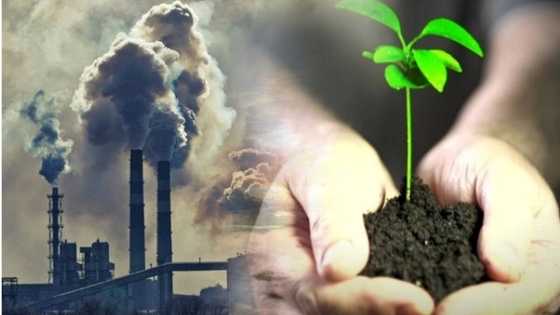 The Ecosystem Metaphor and Life Cycle in Industrial Ecology Explained by Dr Yasam Ayavefe