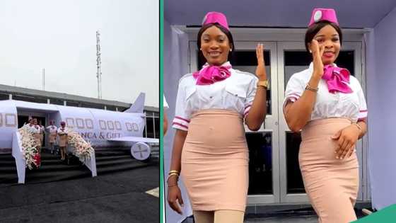 "There is money in this country": Flight-themed wedding held in 'aeroplane' event centre goes viral