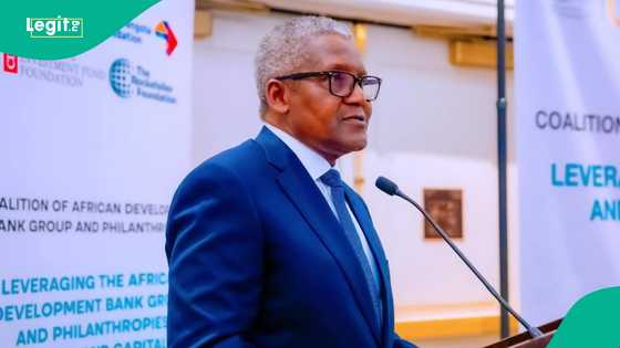 Dangote na shirin bunkasa arzikinsa, ya fadi wasu fannoni 3 da zai shiga