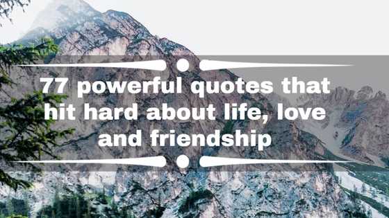 77 powerful quotes that hit hard about life, love and friendship