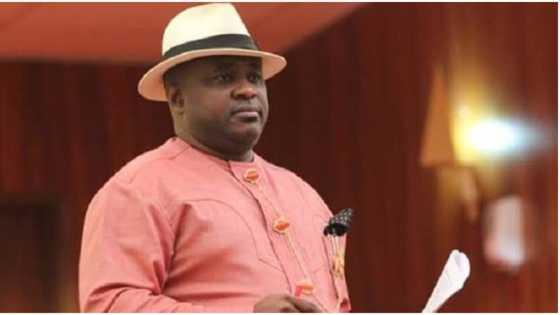 YPP talks tough as court slams Guber candidate with 42-year jail term, reveals next line of action