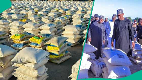 Ramadan 2026: Northern governor surprises over 300,000 households with food items