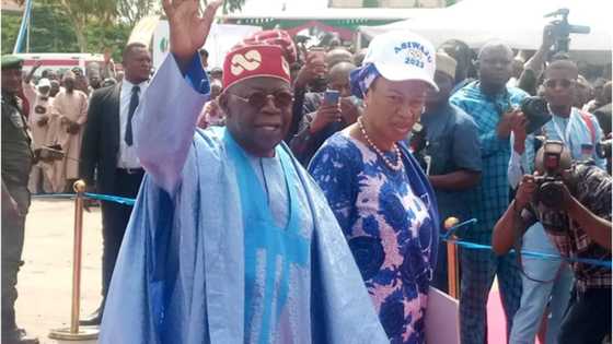 Breaking: Unbeatable Tinubu floors Osinbajo, Lawan, Amaechi, others, wins APC presidential primary