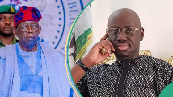Timi Frank slams Tinubu over 'superficial' cost-cutting measures, demands 50% reduction in salaries