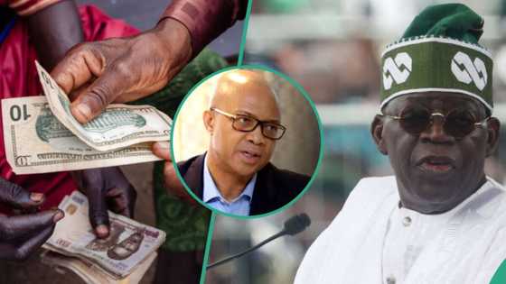 "It is possible": FG speaks on naira to dollar exchange rate, sets new target for 2024