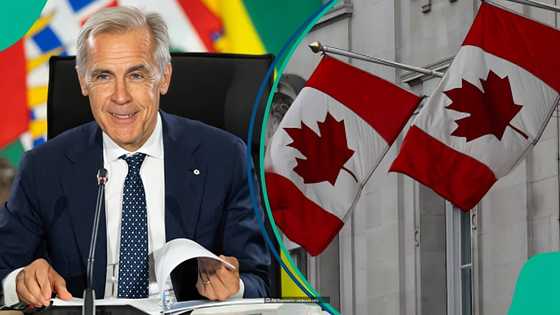 Canada announces weekly payment for people who lose their jobs, posts amount