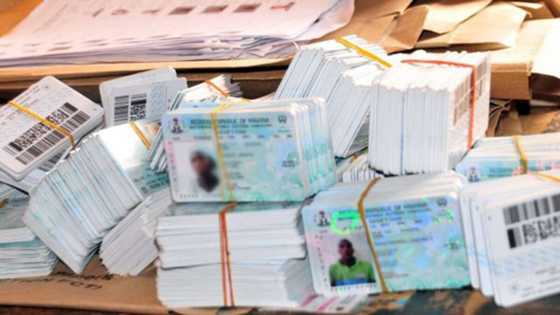 Employees without PVCs to lose their salaries, says IPMAN chairman