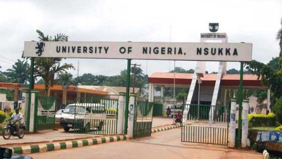 UNN ranks above UI, UNILORIN, others in scholarly output