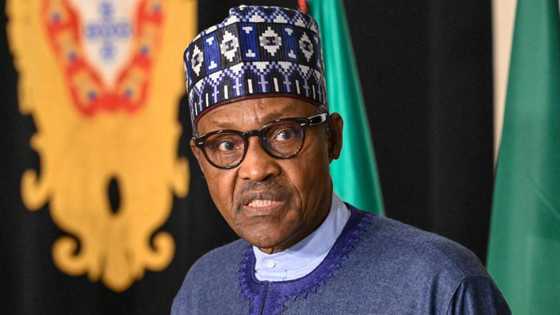 Nigeria’s petroleum agency moves to stop the Sale of ExxonMobil to Seplat, counters Buhari