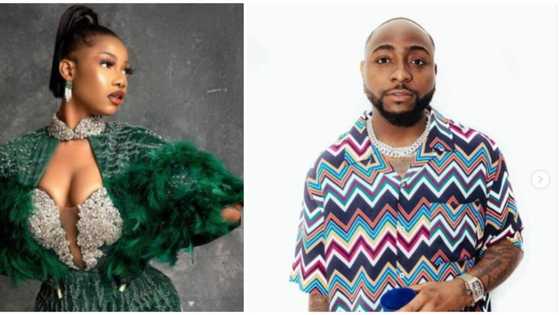 Davido worked his way tirelessly to the top: Tacha applauds singer over FIFA feature
