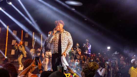 We created a Record with the Huge Crowd at BUJU’s Lagos Concert - Daniel Cole