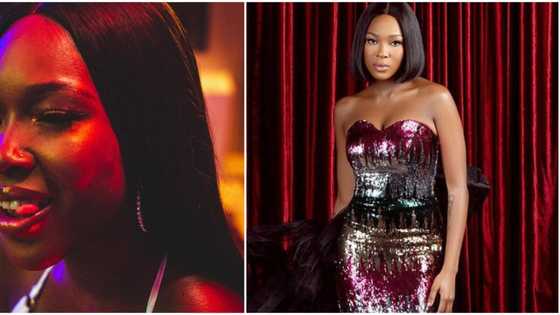 BBNaija Vee shades 90 percent of Naija women that wear shine shine dress with brown net, fans react