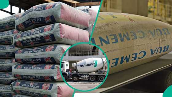Chinese-owned HBM battles Dangote, BUA for Nigeria’s cement market as prices hit new levels