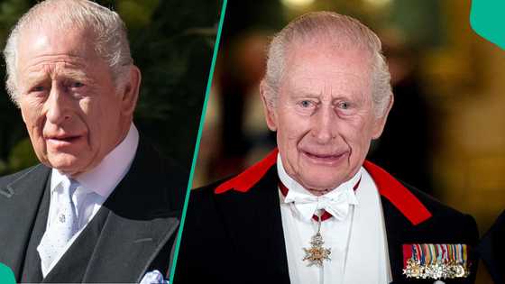 Just In: UK announces how many illegal migrants have been deported since Trump became president