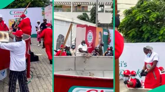 Reactions trail large quantity of goat meat as Hilda Baci begins cooking 'biggest' jollof rice