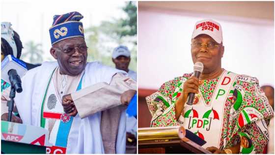 Fresh twist as Atiku’s lawyers say Tinubu has 2 Chicago University certificates signed by different people