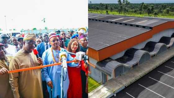 Akwa Ibom state govt commissions multi billion coconut oil refinery