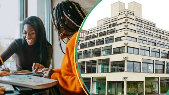 "All expenses covered": UK varsity announces tuition-free scholarship for Nigerians