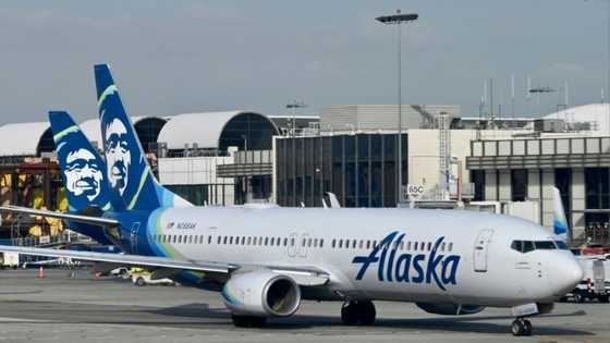 Alaska Airlines grounds entire fleet over IT outage