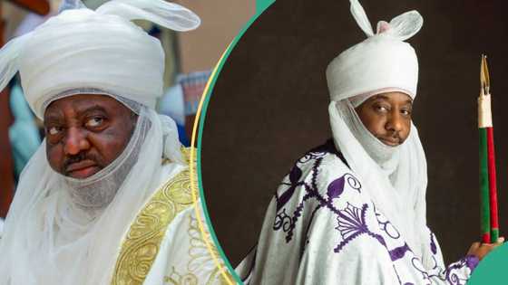 Bayero vs Sanusi: Fresh twist as Kano govt rejects N10m court fine, details surface
