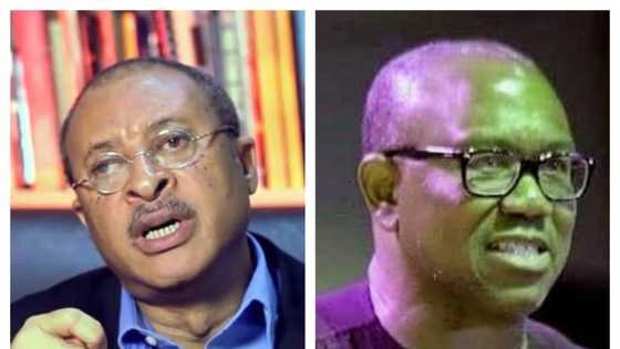 2023: Three main reasons why Pat Utomi stepped down for Peter Obi as labour party candidate