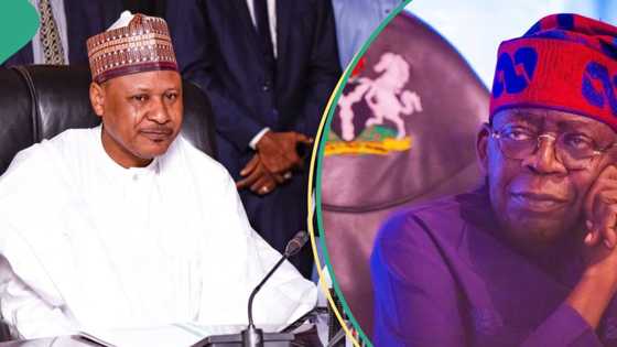 Gabon, Niger coups: FG speaks on rumoured plan to reshuffle Nigeria's military