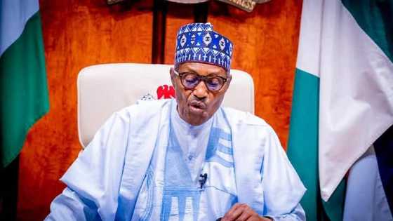 2023: A Manta Da Batun Zaɓe Bayan Saukan Buhari, a Kafa Gwamnatin Wucin Gadi Da Za Ta Saita Najeriya, Dattijon Ƙasa Ya Bada Shawara