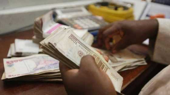 Shin Mutane Sun Yi Asara Kenan? Matakai 3 da Zaku Bi Ku Maida Tsoffin Naira Banki Duk da Wa'adi Ya Cika