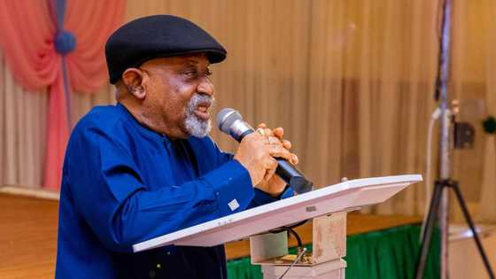 FG reportedly approves pay raise for civil servants, Ngige shares details