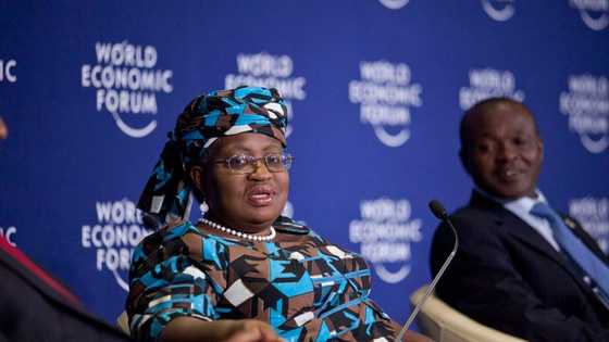 OPINION: Why I support Ngozi Okonjo-Iweala’s candidacy for WTO DG