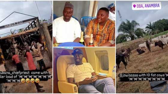 Obi Cubana mum’s burial: Chiefpriest sends trailer of 46 cows, Jowi Zaza sends 10, set to shut down Anambra