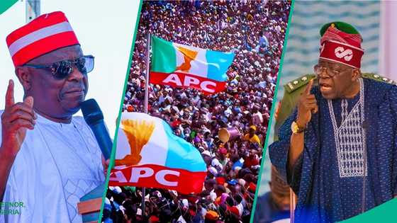 3 reasons Kwankwaso’s defection to ADC poses strong threat to Tinubu, APC