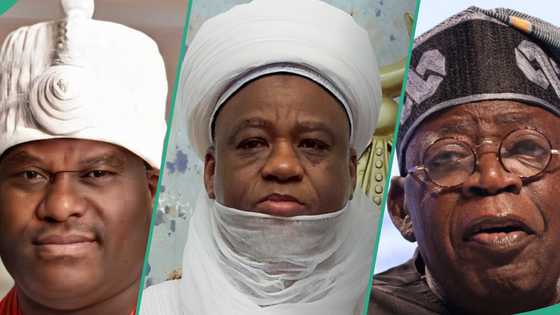 Sultan da manyan sarakunan gargajiya sun sanya labule da Tinubu, bayanai sun fito