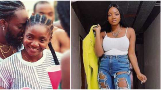 Who razz pass? Reactions as Simi tries to form Lagos 'agbero' on fun jungle adventure with family