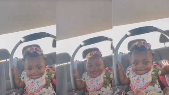 Baby's infectious laughter in a car made many people smile, video goes viral on Instagram