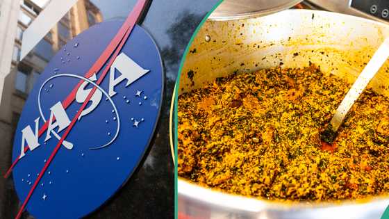 Why NASA scientists chose Egusi over Ogbono, others for space exploration