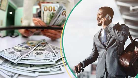 Brain drain: IMF approves "japa" as catalyst for remittances, foreign investment in Nigeria