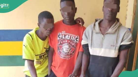Yan sandan Kaduna sun kama mutane 3 kan zargin satar kebura