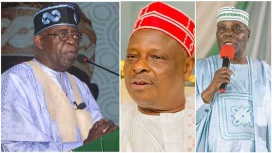 Tinubu weakens Kwankwaso, Atiku's strengths as NNPP collapses structure for APC in core Arewa state