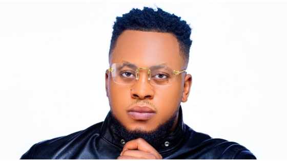 Investor Seed Launches Free NFT and Crypto Learning Hub for Beginners