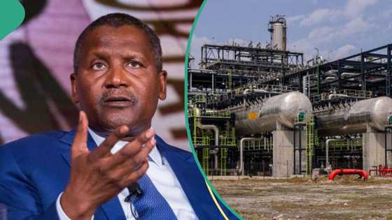 NNPC replies as Dangote says govt ownership in his refinery only 7.2 per cent